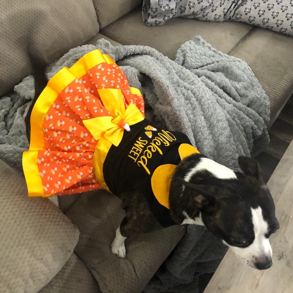 Meet the Posher - Picture 8 of 8